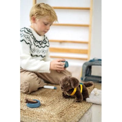 small foot Kleinkind Spielzeug Tierarzt small foot Personalisierbar Hund mit Tasche und Pflege-Set ab 2 Jahren