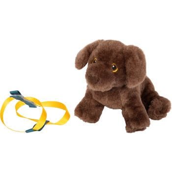 small foot Kleinkind Spielzeug Tierarzt small foot Personalisierbar Hund mit Tasche und Pflege-Set ab 2 Jahren