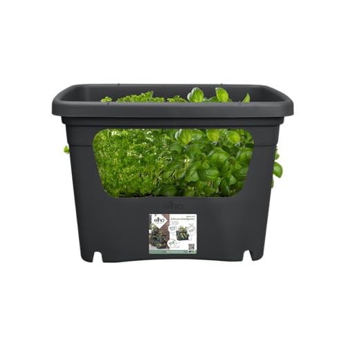 Elho Pflanzkiste elho Green Basics Stack & Grow 50 - Übertopf für Außen Züchten Und Ernten - Ø 50.9 x H 35.7 cm - Schwarz/Living Schwarz
