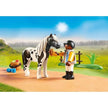 Playmobil Playmobil PLAYMOBIL Country 71242 – Reitunterricht auf dem Reiterhof | ab 4 Jahren
