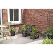 Elho Pflanzkiste elho Green Basics Stack & Grow 50 - Übertopf für Außen Züchten Und Ernten - Ø 50.9 x H 35.7 cm - Schwarz/Living Schwarz