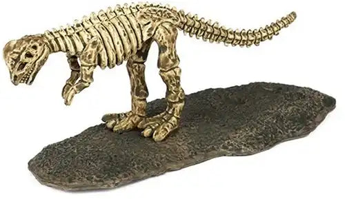 Dinoworld Baby & Kleinkind 24 Stück Dinoworld Dino Fossilien – Set mit 24 Überraschungsfossilien