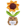 Spielzeug Opa Sammelfiguren Sonnenblume / Mit eigenen Text gelasert. Personalisierbar Handgefertigte Häkelfigur mit Motivationskarte – Liebevolles Geschenk & Dekoration