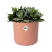 Elho Blumenkasten elho Blumentopf „For Soft“ rund – 18 cm – Zartes Rosa