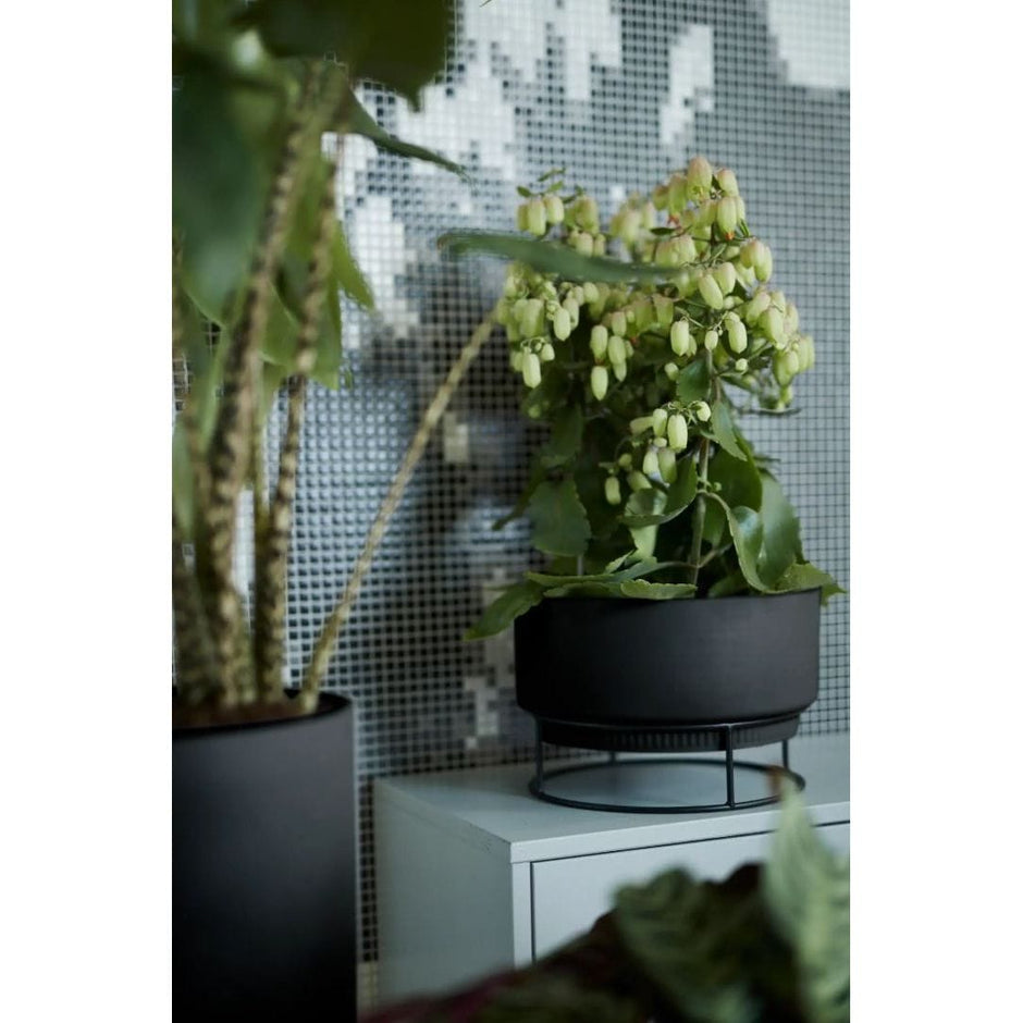 Elho Blumenkasten Moderne Elho B. for Studio Pflanzschale 30 cm in Living Black. Ideal für Zimmerpflanzen, wasserdicht & stilvoll.