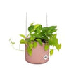 Elho Blumenkasten elho Blumentopf „B.For Swing“ – 18 cm – Zartes Rosa – Hängetopf