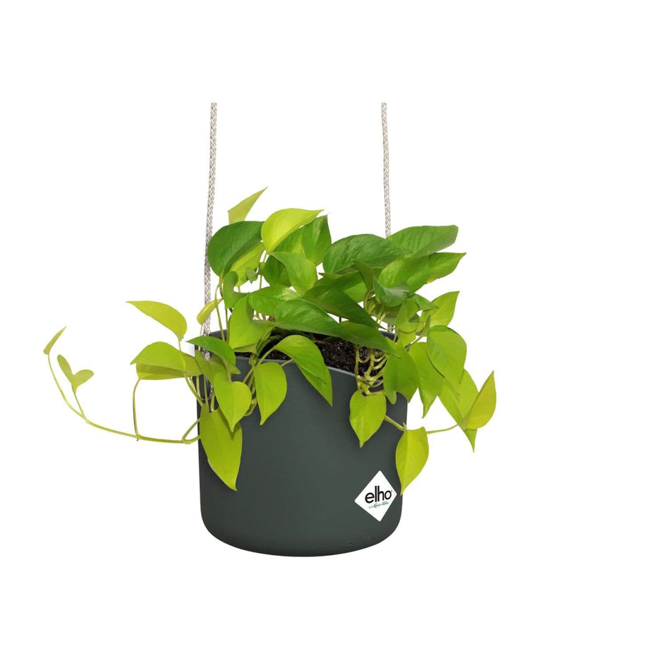 Elho Blumenkasten Elho Blumentopf Schaukel 18 cm Blattgrün Hängepflanztopf