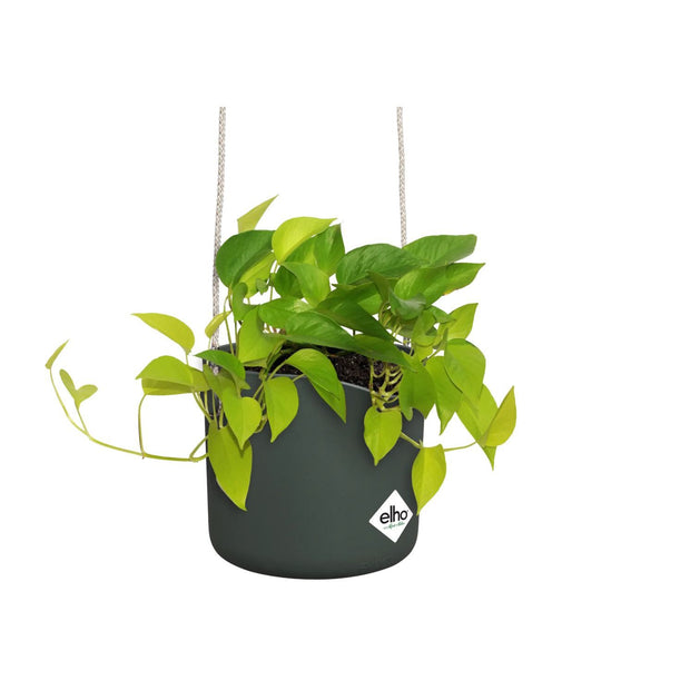 Elho Blumentopf Schaukel 18 cm Blattgrün Hängepflanztopf