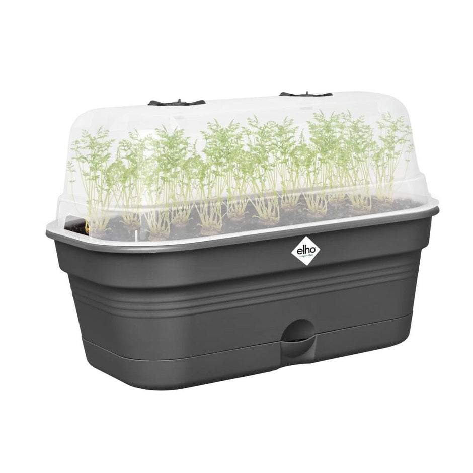 Elho Blumenkasten Elho – Green Basics – Anzuchtschale All-in-1 – Größe M – Living Black Schwarz ca.32mm