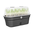 Elho Blumenkasten Elho – Green Basics – Anzuchtschale All-in-1 – Größe M – Living Black Schwarz ca.32mm