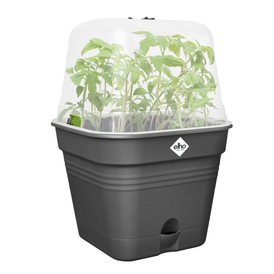 Elho Blumenkasten Elho Green Basics Anzucht Topf quadratisch 20 cm Living