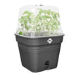 Elho Blumenkasten Elho Green Basics Anzucht Topf quadratisch 20 cm Living
