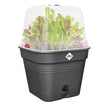 Elho Blumenkasten Elho - Green Basics - Quadratische Anzucht-Topf All-In-1 - 30 cm - Living Black