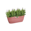 Elho Vibia Campana Blumenkasten mit Aufhänger – Groß – Puderrosa ca,46cm